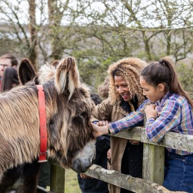 Mother and daughter touching donkey